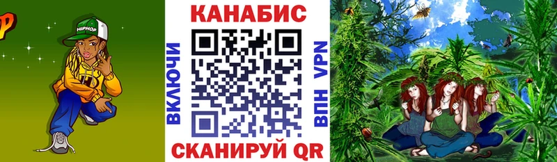 Марихуана гибрид гидра tor Пересвет где купить наркоту